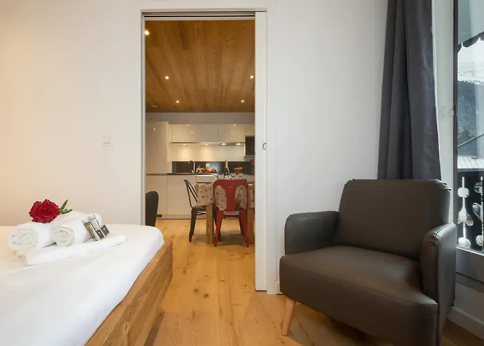 Sud - Chailloud 202 - Happy Chamonix