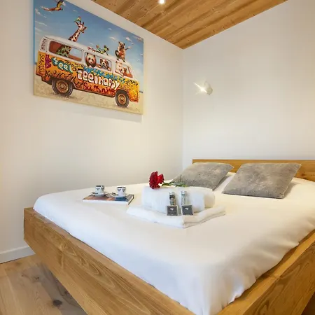 Sud - Chailloud 202 - Happy Apartman Chamonix