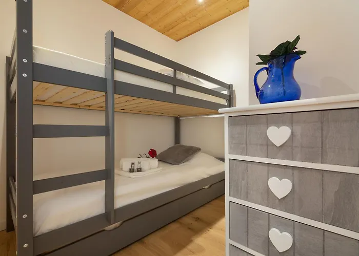 Sud - Chailloud 202 - Happy Chamonix